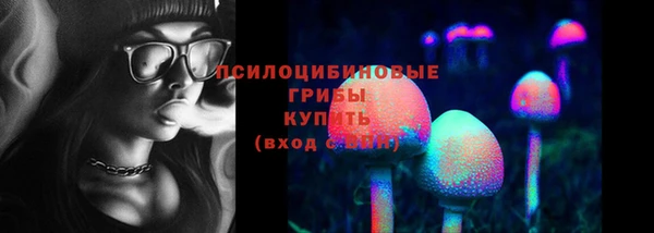 тгк Алексеевка