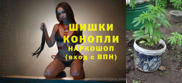 винт Алзамай