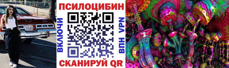 Псилоцибиновые грибы Psilocybine cubensis  OMG tor  Арск  наркотики 